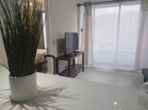 Departamento Iquique
